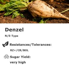 Denzel