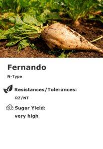 Fernando
