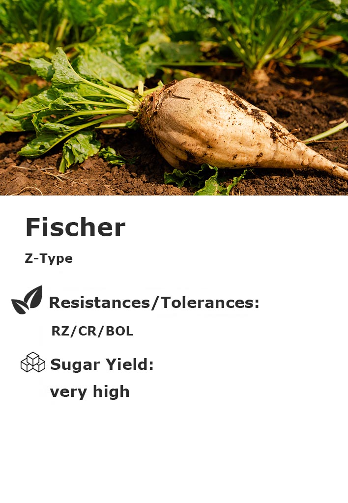 Fischer Fischer