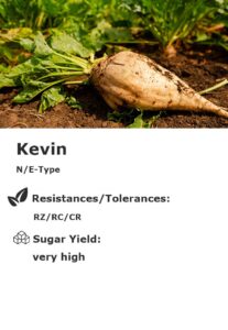 Kevin