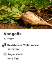 Vangelis