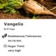 Vangelis