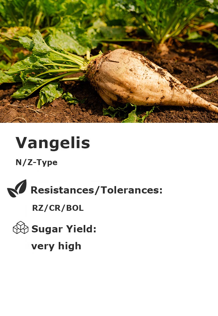 Vangelis Vangelis
